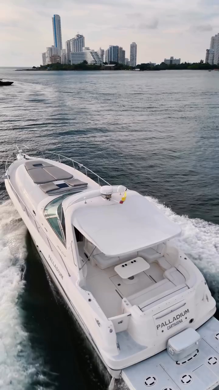 Yate Sea Ray 46 Palladium